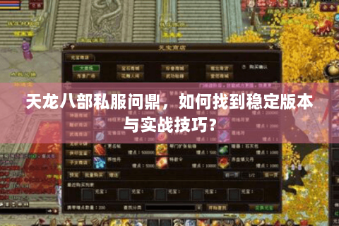天龙八部私服问鼎，如何找到稳定版本与实战技巧？