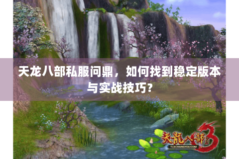 天龙八部私服问鼎，如何找到稳定版本与实战技巧？