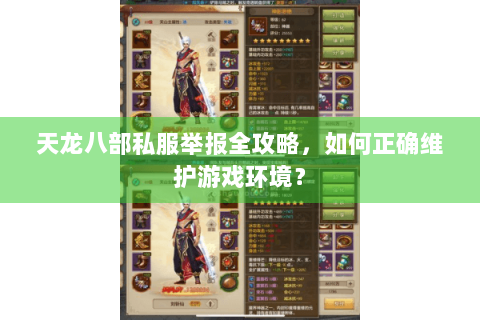 天龙八部私服举报全攻略，如何正确维护游戏环境？
