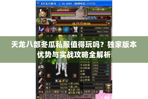 天龙八部冬瓜私服值得玩吗？独家版本优势与实战攻略全解析