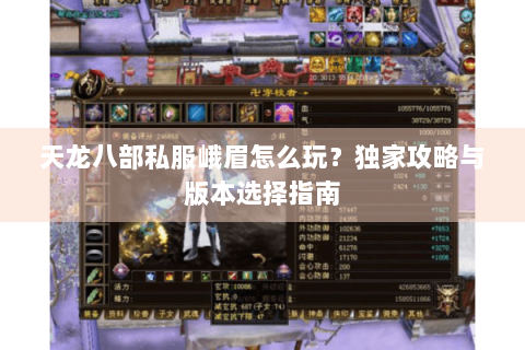 天龙八部私服峨眉怎么玩？独家攻略与版本选择指南