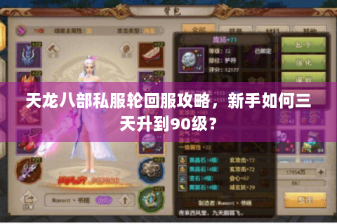 天龙八部私服轮回服攻略，新手如何三天升到90级？