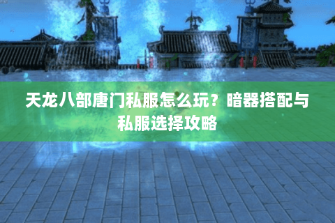 天龙八部唐门私服怎么玩？暗器搭配与私服选择攻略