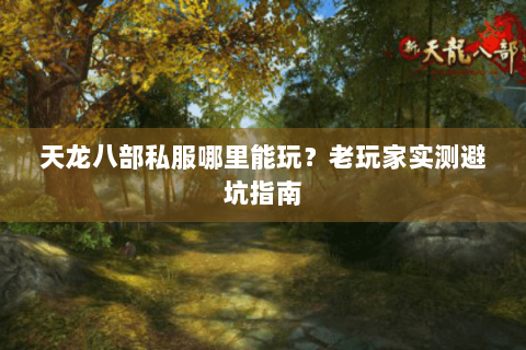 天龙八部私服哪里能玩？老玩家实测避坑指南