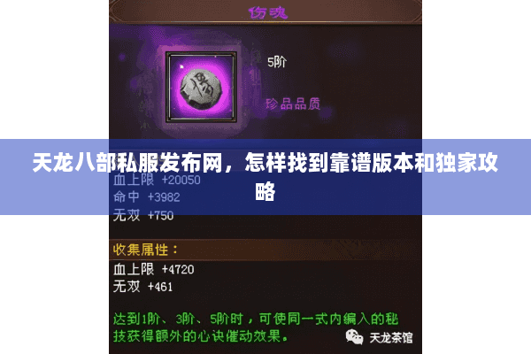 天龙八部私服发布网，怎样找到靠谱版本和独家攻略
