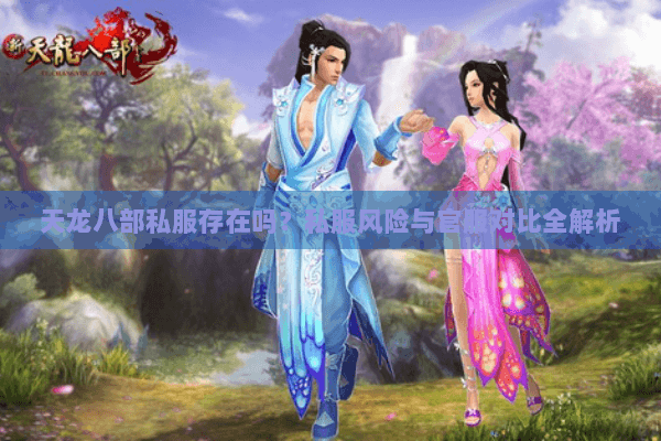 天龙八部私服存在吗？私服风险与官服对比全解析