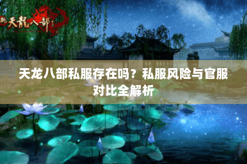天龙八部私服存在吗？私服风险与官服对比全解析
