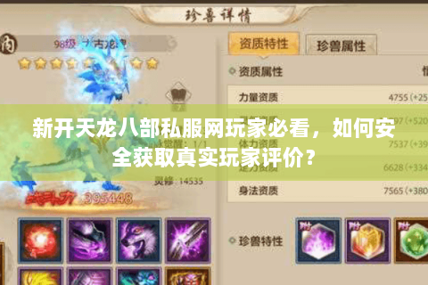 新开天龙八部私服网玩家必看，如何安全获取真实玩家评价？