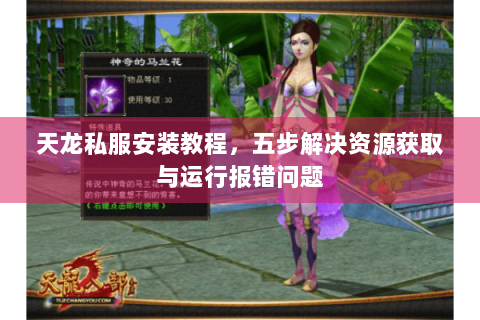 天龙私服安装教程，五步解决资源获取与运行报错问题
