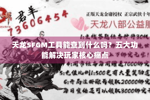 天龙SFGM工具能查到什么吗？五大功能解决玩家核心痛点