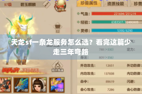天龙sf一条龙服务怎么选？看完这篇少走三年弯路