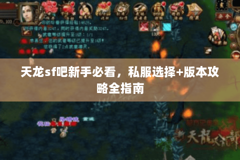 天龙sf吧新手必看，私服选择+版本攻略全指南