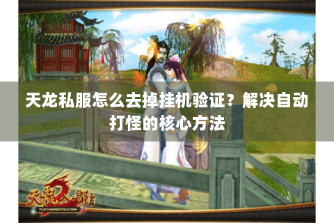 天龙私服怎么去掉挂机验证？解决自动打怪的核心方法