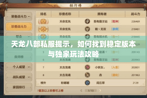 天龙八部私服提示，如何找到稳定版本与独家玩法攻略