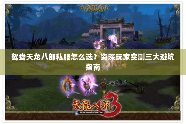 鸳鸯天龙八部私服怎么选？资深玩家实测三大避坑指南