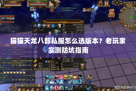 猫猫天龙八部私服怎么选版本？老玩家实测防坑指南