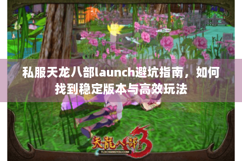 私服天龙八部launch避坑指南，如何找到稳定版本与高效玩法