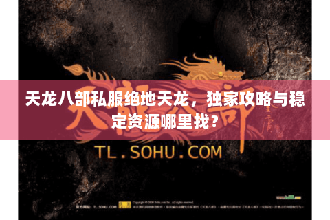 天龙八部私服绝地天龙，独家攻略与稳定资源哪里找？