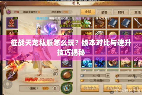 征战天龙私服怎么玩？版本对比与速升技巧揭秘