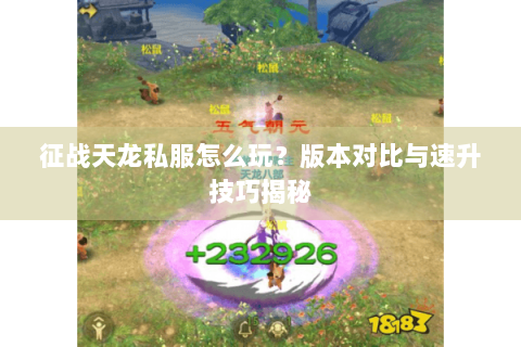 征战天龙私服怎么玩？版本对比与速升技巧揭秘