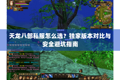 天龙八部私服怎么选？独家版本对比与安全避坑指南