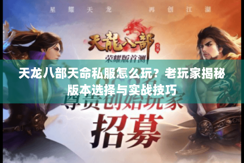 天龙八部天命私服怎么玩？老玩家揭秘版本选择与实战技巧
