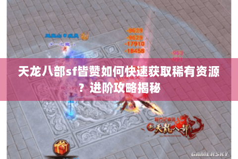 天龙八部sf皆赞如何快速获取稀有资源？进阶攻略揭秘