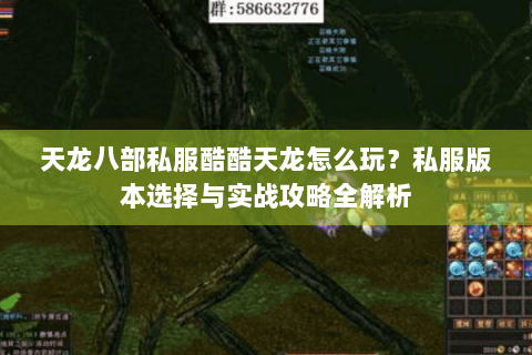 天龙八部私服酷酷天龙怎么玩？私服版本选择与实战攻略全解析