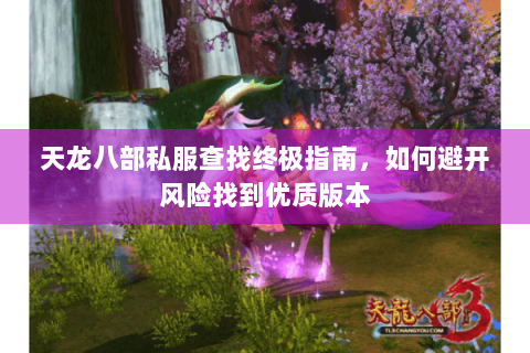 天龙八部私服查找终极指南，如何避开风险找到优质版本