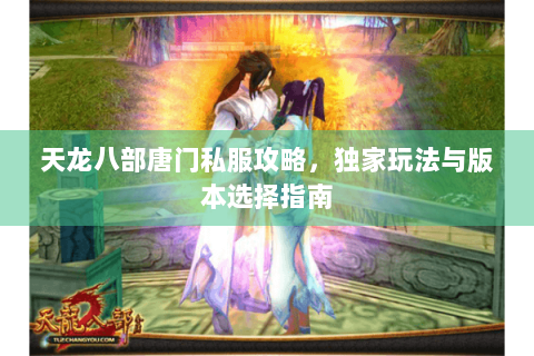 天龙八部唐门私服攻略，独家玩法与版本选择指南
