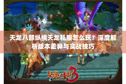 天龙八部纵横天龙私服怎么玩？深度解析版本差异与实战技巧