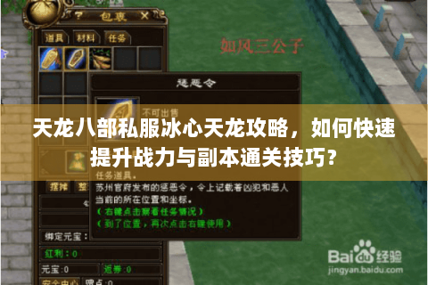 天龙八部私服冰心天龙攻略，如何快速提升战力与副本通关技巧？
