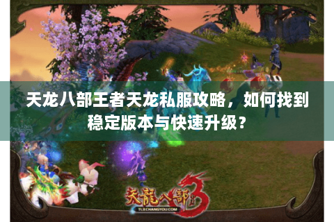 天龙八部王者天龙私服攻略，如何找到稳定版本与快速升级？