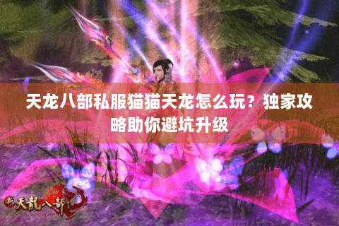 天龙八部私服猫猫天龙怎么玩？独家攻略助你避坑升级