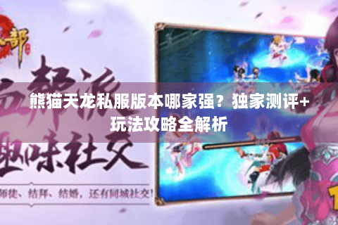 熊猫天龙私服版本哪家强？独家测评+玩法攻略全解析