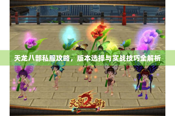 天龙八部私服攻略，版本选择与实战技巧全解析