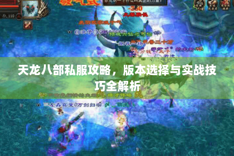 天龙八部私服攻略，版本选择与实战技巧全解析