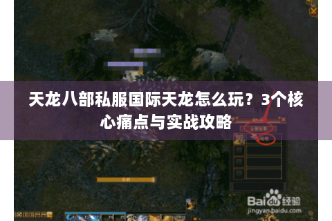 天龙八部私服国际天龙怎么玩？3个核心痛点与实战攻略