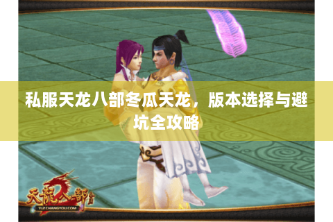 私服天龙八部冬瓜天龙，版本选择与避坑全攻略