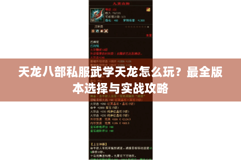 天龙八部私服武学天龙怎么玩？最全版本选择与实战攻略