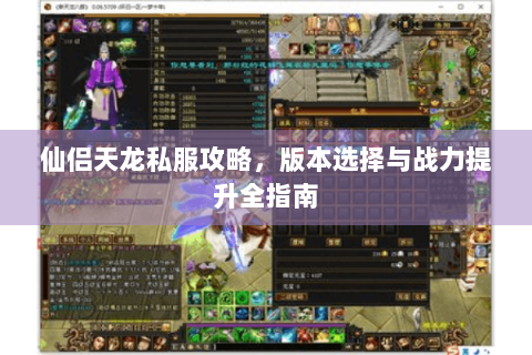 仙侣天龙私服攻略，版本选择与战力提升全指南