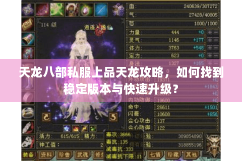 天龙八部私服上品天龙攻略，如何找到稳定版本与快速升级？