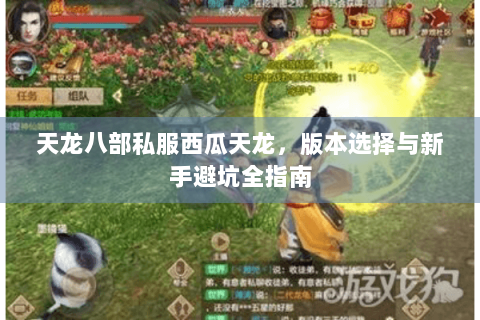天龙八部私服西瓜天龙，版本选择与新手避坑全指南