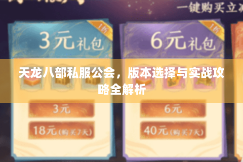 天龙八部私服公会，版本选择与实战攻略全解析