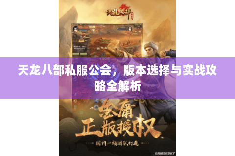 天龙八部私服公会，版本选择与实战攻略全解析