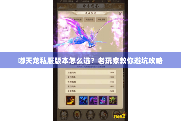 嘟天龙私服版本怎么选？老玩家教你避坑攻略
