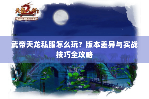 武帝天龙私服怎么玩？版本差异与实战技巧全攻略