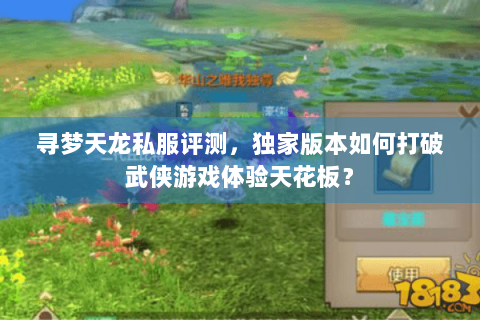 寻梦天龙私服评测，独家版本如何打破武侠游戏体验天花板？