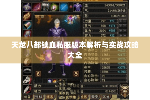 天龙八部铁血私服版本解析与实战攻略大全