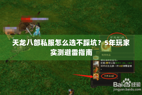 天龙八部私服怎么选不踩坑？5年玩家实测避雷指南